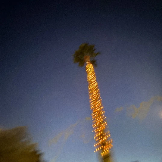 Ødyzon