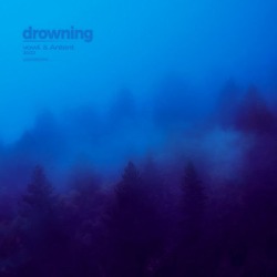 Обложка: vowl., Antent - drowning
