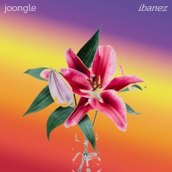 Обложка: Joongle - Ibanez